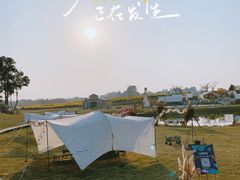 -空港花田景区