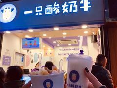 门面-一只酸奶牛(八一路店)