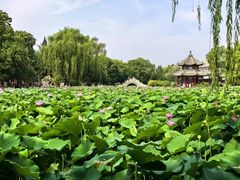 -莲池书院博物馆