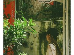 -小洲村