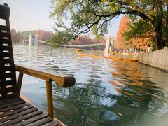 -东湖落雁景区