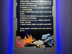 -大连圣亚海洋世界