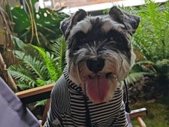 -J Create城市露营咖啡·简餐·宠物(上海动物园店)