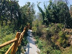 -封龙山风景区