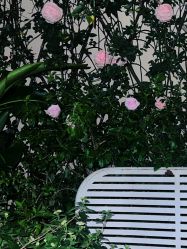 -WAVE SODA摄影工作室