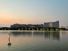 -天鹅湖体育公园