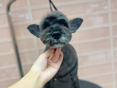 -FAELING PETS美天灵宠物(合生汇店)