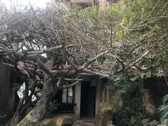 -竹吟山房