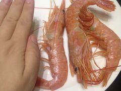 -云顶旋转自助景观餐厅