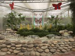 -南宫五洲植物乐园