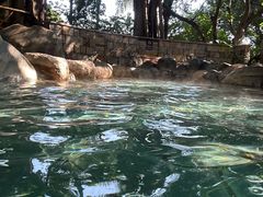 -湖泉半山温泉(湖泉生态园)