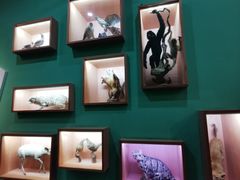 -重庆自然博物馆(新馆)