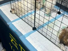 -吴山路夜市