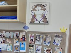 -美联众合动物医院·24h京西诊疗中心