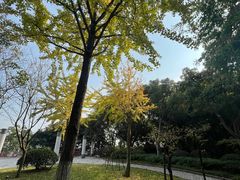 -大渡口区义渡公园