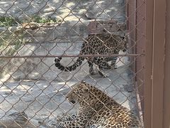 -大连森林动物园