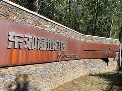 -东郊湿地公园