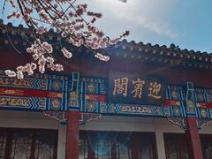 -桃花堤公园