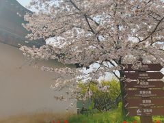 -苏州上方山国家森林公园