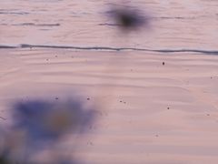 -东海半边山旅游度假区