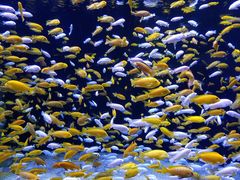 -成都浩海立方海洋公园