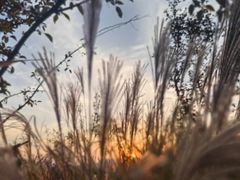 -汉长安城未央宫国家考古遗址公园