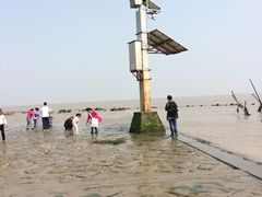 -南汇嘴观海公园