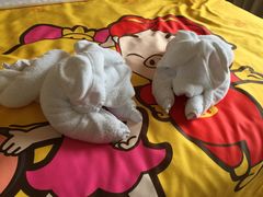 -成都蒲江花样年福朋喜来登度假酒店·宜客乐西餐厅