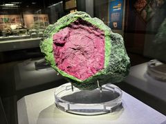 -湖南省地质博物馆