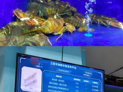 -小海豚·老字号海鲜餐厅(三亚湾店)