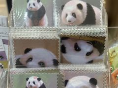 -熊猫邮局(少城店)