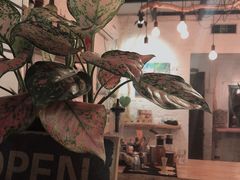 -慢遊咖啡(下坝坊店)