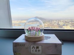 -大美母婴月子专护中心(紫峰店)