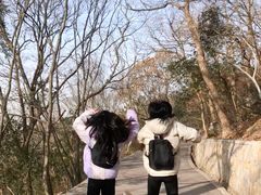 -紫金山山顶公园