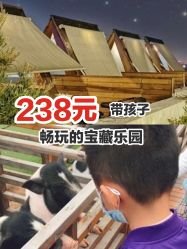 -小蜜蜂农场(凯德七宝购物广场店)