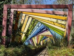 -合肥滨湖国家森林公园