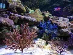 -石林冰雪海洋世界