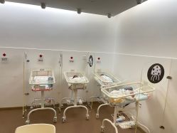 -海豚湾高端月子会所(黄浦店)