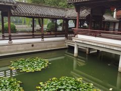 -绍兴老味道·非遗门店(银泰城店)