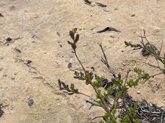 -黄龙山原始森林景区