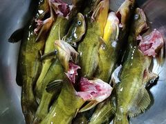 -铁锅炖灶台鱼老三炖鱼馆