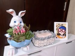 -ROYEA茹彦祛痘·问题肌肤修护中心