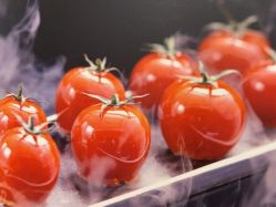 -陶然花园·婚宴