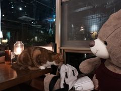 -咖法森林·咖啡  酒吧(天河店)