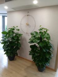 -酉嘉瑜伽YO+YOGA