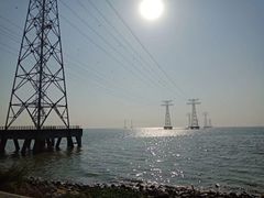 -宝安西湾红树林湿地公园