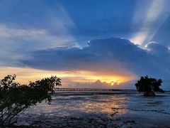 -宝安西湾红树林湿地公园