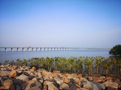 -宝安西湾红树林湿地公园