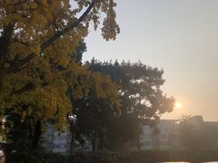 -四川大学华西口腔医院(华西院区)