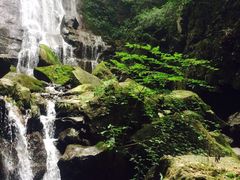 -藏龙百瀑风景区